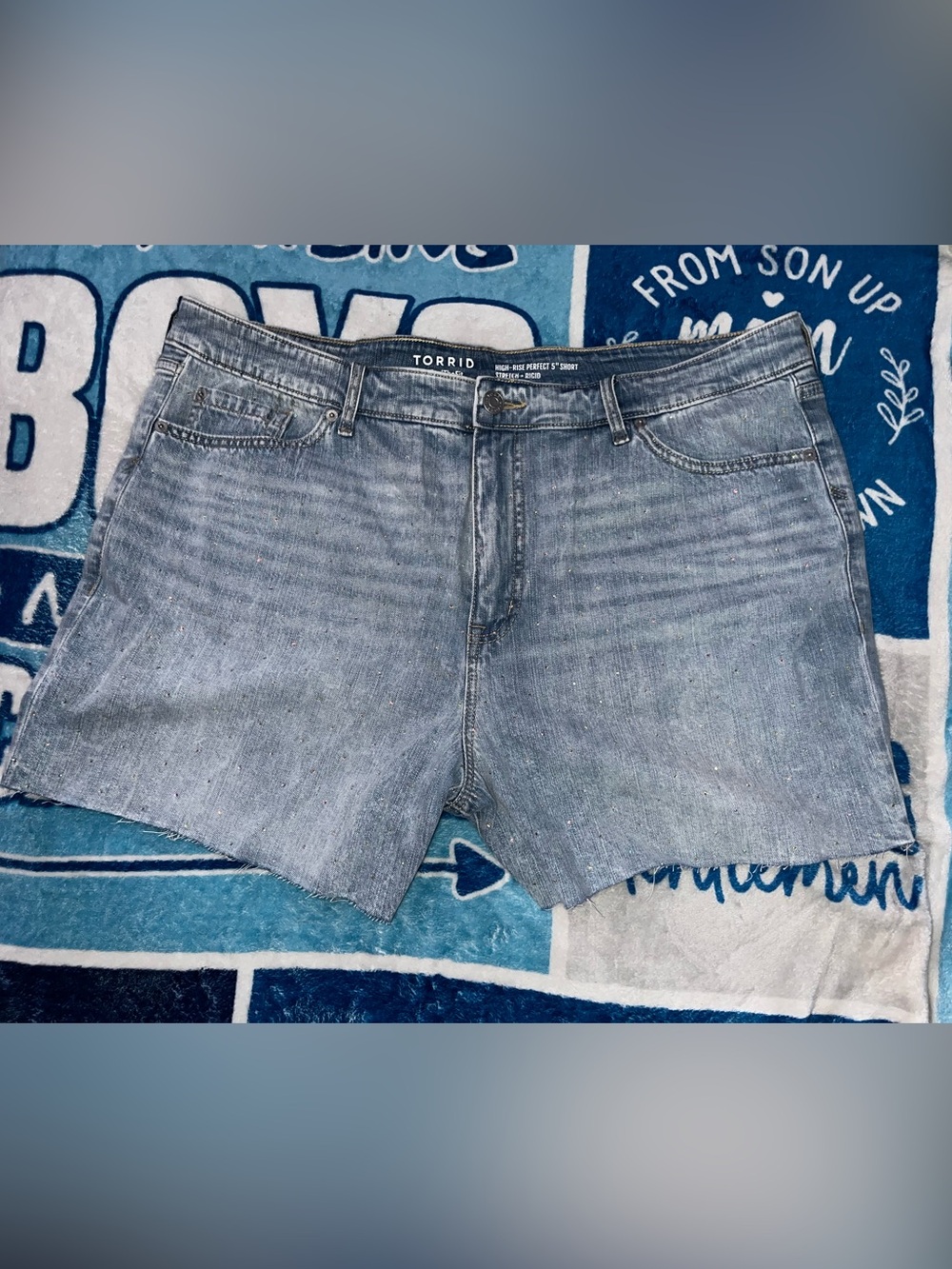 Torrid Women's Denim Jean Shorts in Blue